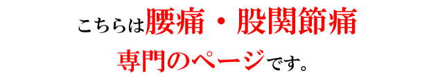 腰痛・股関節痛のページ